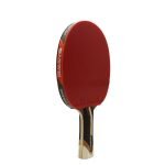 Sanwei Taiji 910 Table Tennis Bat